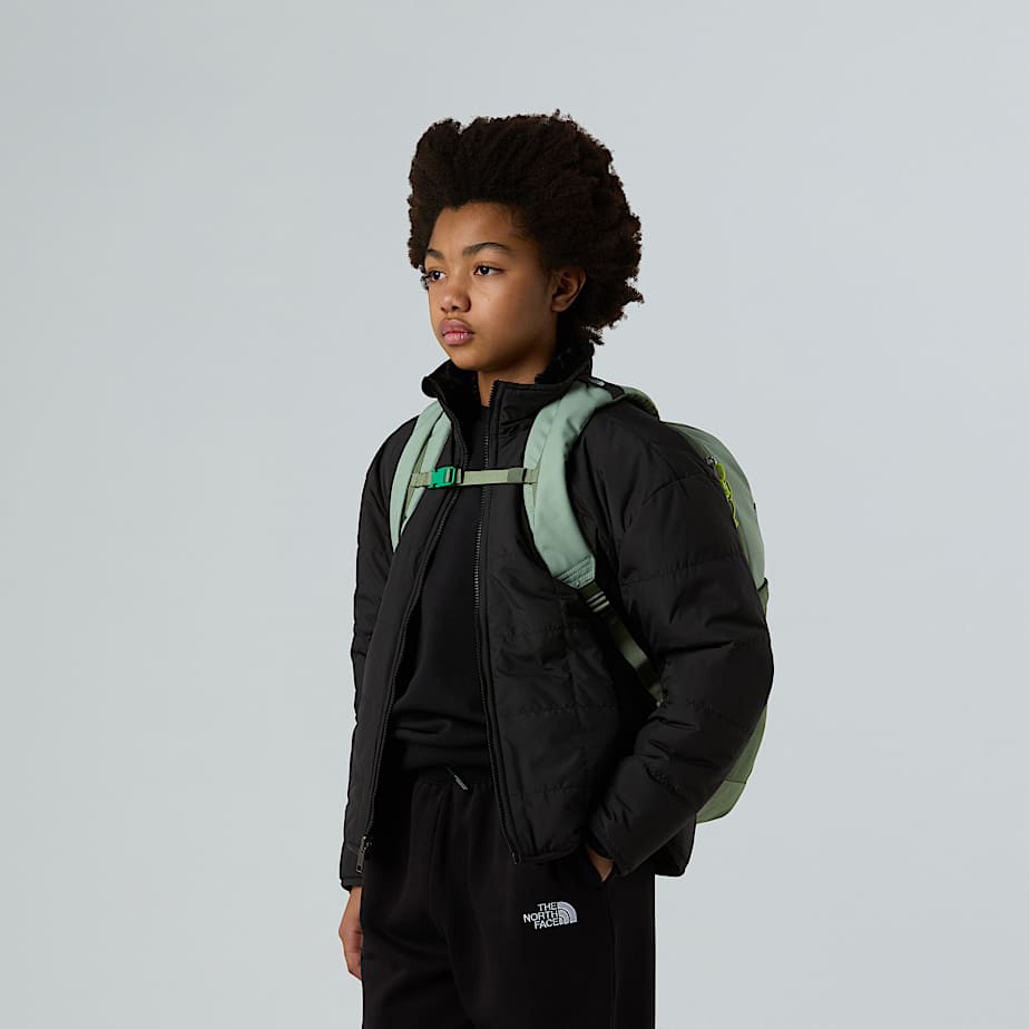 کوله پشتی روزمره نوجوانان eens' Jester Backpack از the north face